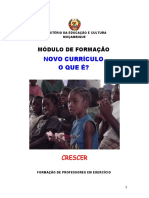 OSUWELA_Formacao Em Curriculo Local