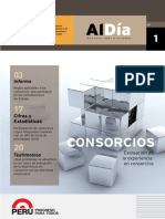 Consorcios.pdf