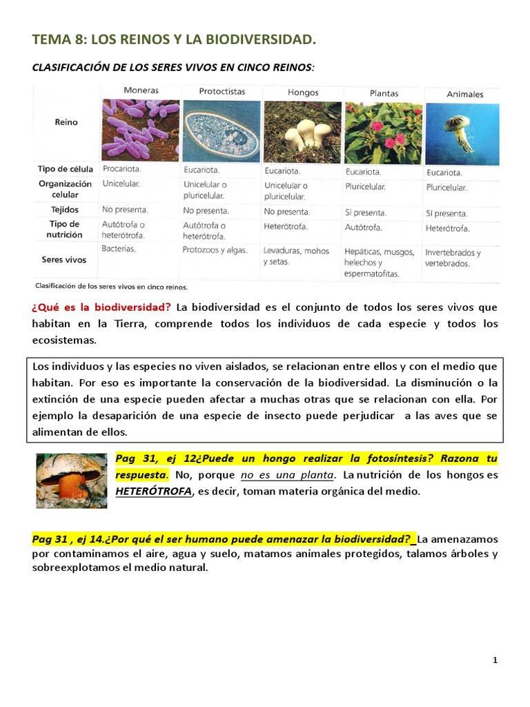 Tema 8 Clasificacion de Los Seres Vivos. 1º ESO | PDF | Algas | Hongo