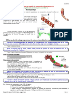 Reflexe Myotatique PDF