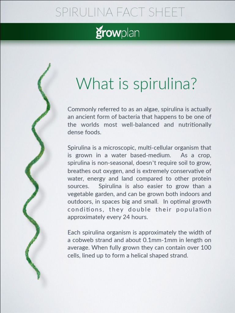 Spirulina Fact Sheet PDF Vitamin A Nutrients