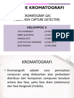 ECD post grup.ppt