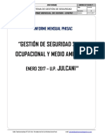 Informe Mensual SOMA 2017