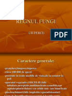 Regnul Fungi 