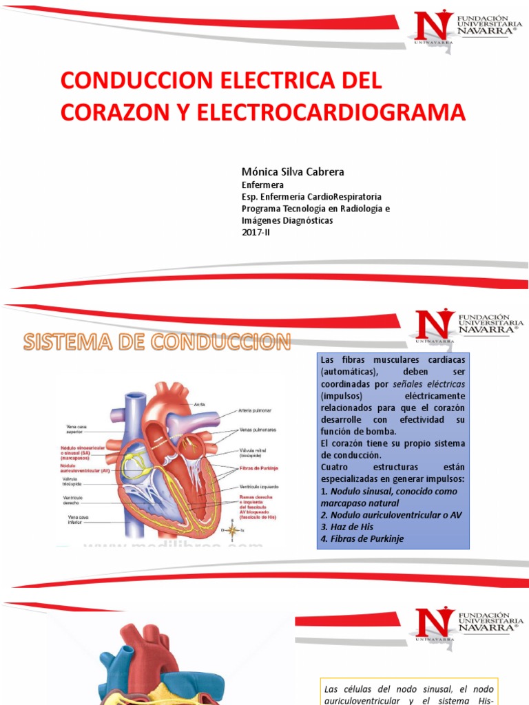 CONDUCCION ELECTRICA DEL CORAZON.pdf Electrocardiografia