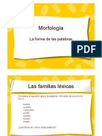 Morfología PDF