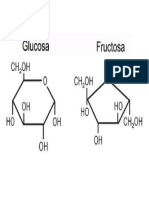 Glucidos