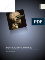 Perfilacion Criminal 111