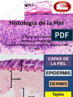 Morfofisiología de la piel