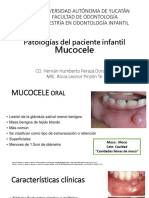 Mucocele Expo