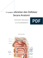 Proses Menelan Dan Defekasi Secara Anatomi