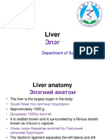 Liver (Dep)
