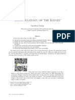 Gross Anatomy of The Kidney 3