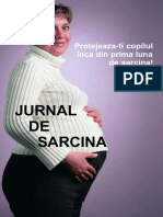 JurnalDeSarcina.pdf