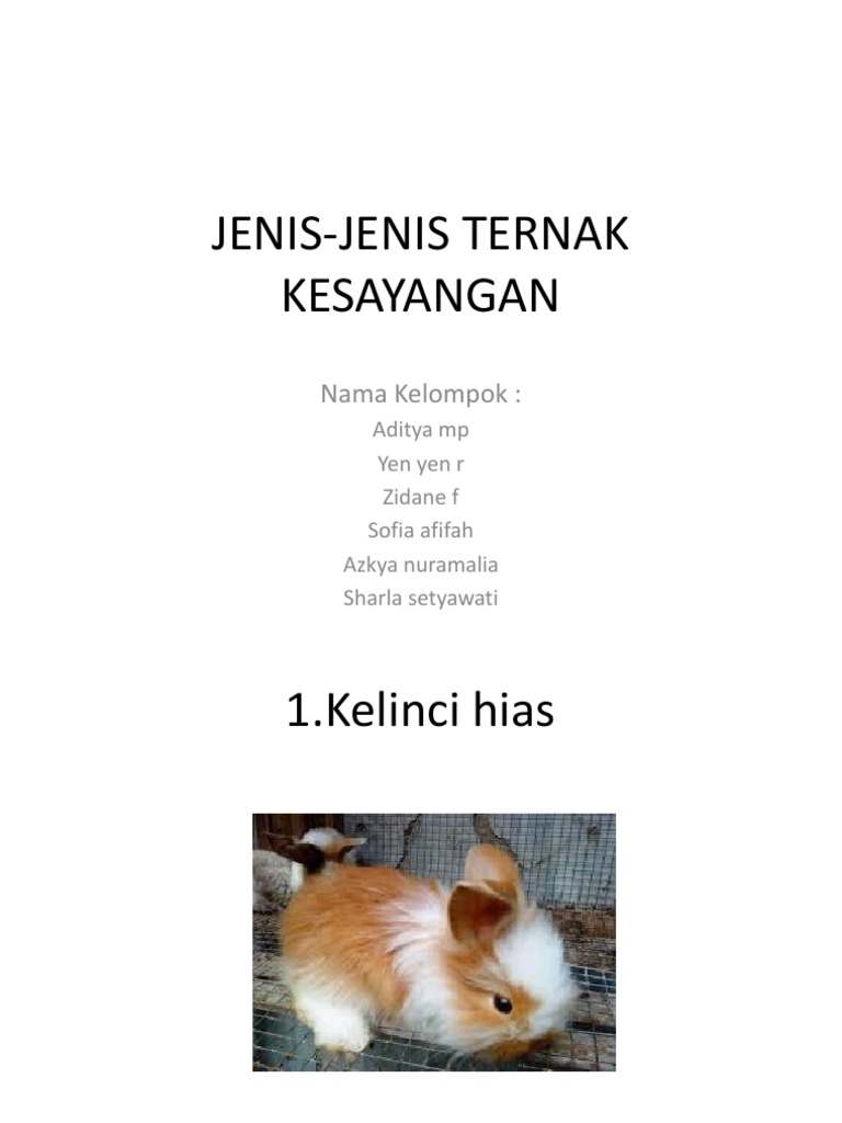 Jenis Jenis Ternak Hias Beserta Ciri Cirinya Tentang Kolam