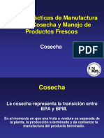 12. Cosecha y Enfriamiento BPA MIDA