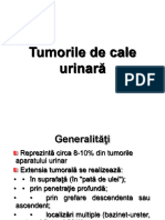 Tumorile de Cale Urinara 2015