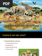 Como São Os Seres Vivos
