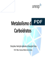 Metabolismo dos Carboidratos: Digestão, Armazenamento e Vias Metabólicas