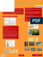 Poster Fitorremediacion