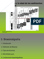 04 Biostratigrafia