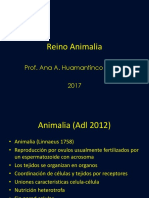 4-Reino-Animalia.ppt