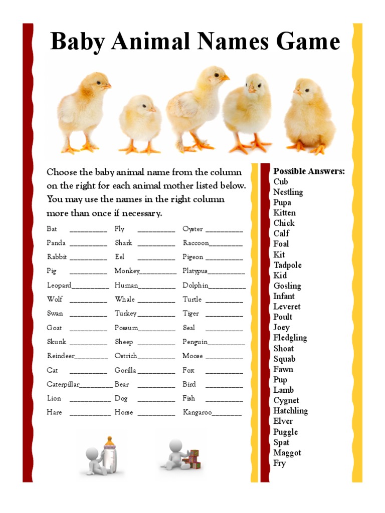 Baby Animal Names Game PDF Animals And Humans Organisms