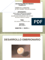 Desarrollo Embrionario