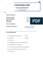 Copia de Currículum Vitae Andrea King Hernández%2c (1) - Copia
