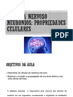 Aula - Neuronios