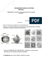 AULA - embriologia do SN.pptx