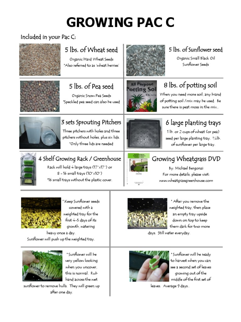 Grass pea thesis pdf image