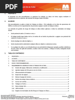 MMG TEA Gestión Del Trabajo en Altura - Procedimiento (Común) - 8373127