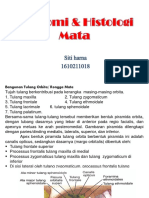 anatomi & histologi mata.pptx