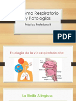 Sistema Respiratorio y Patologias