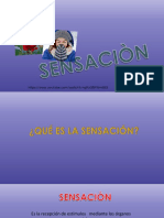 PSICOLOGIA SENSACIÓN&PERCEPCION 