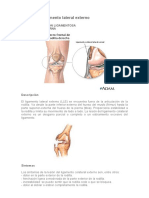 Lesión Del Ligamento Lateral Externo de La Rodilla PDF