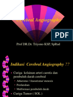 Cerebral Angiography2