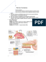 Resumo de Pares Cranianos