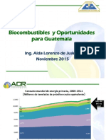 SEMINARIO BIOCOMBUSTIBLES