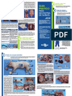 Guia de Necropsia Final
