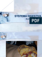 Systema Digestiva (Baru)