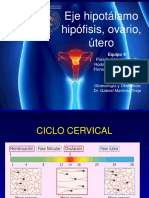 Ciclo cervical.pdf