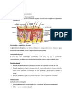 Apontamentos 6 Ano Ciencias