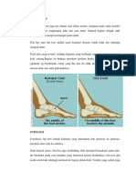 Pes Planus Dan Ekstrimitas Atas