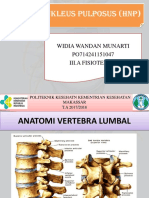 Anatomi Dan Fisiologi HNP