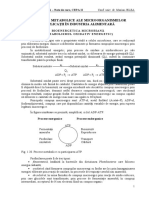 7. Bioenergetica+fermentatii - Note de curs.pdf