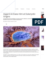 Asgard Archaea Hint at Eukaryotic Origins _ The Scientist Magazine®