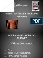 Abdomen Pared Anterolateral