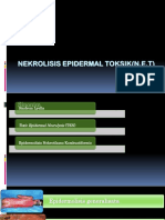 Nekrolisis Epidermal Toksik N